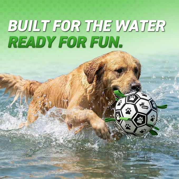 QDAN Dog Toys for Small Medium Puppy, Soccer Ball for Dogs with Straps, Dog Herding Balls, Birthday Toy Gifts, (Black Greem, 6 Inch)