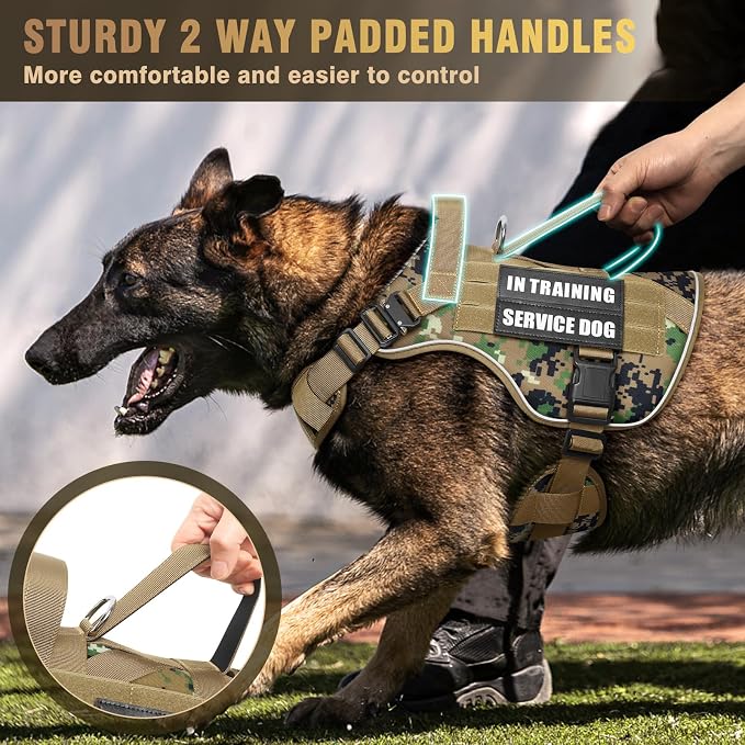 2X Metal Buckle Service Working MOLLE Dog Vest with 10 Pet Patches | Tactical Dog Harness for Medium Dog, No-pull Military Working Vest for Training Hunting Walking，2x D Rings for Leash Clip