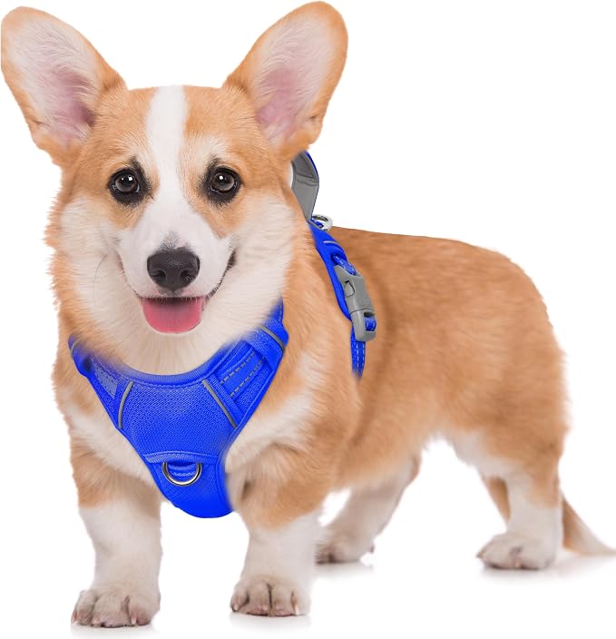BARKBAY No Pull Dog Harness Large Reflective Dog Harness with Front Clip and Easy Control Handle for Walking Training Running with ID tag Pocket(Sapphire Blue,M)