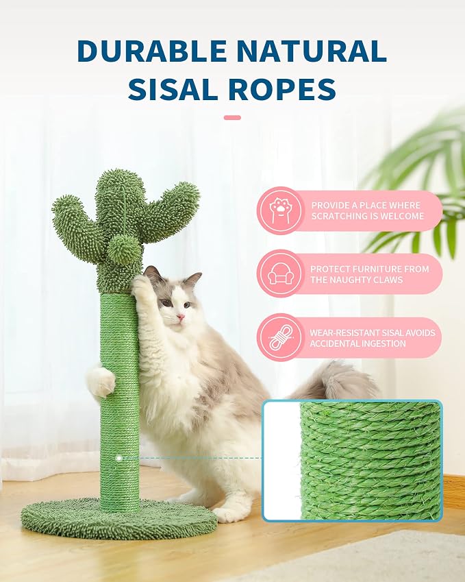 Made4Pets Cactus Cat Scratching Post for Indoor Cats with Plush Ball, 25.6" | Interactive Cactus Cat Scratcher with Natural Sisal Rope, Sturdy Base and Plush Ball for Daily Scratching and Indoor Play