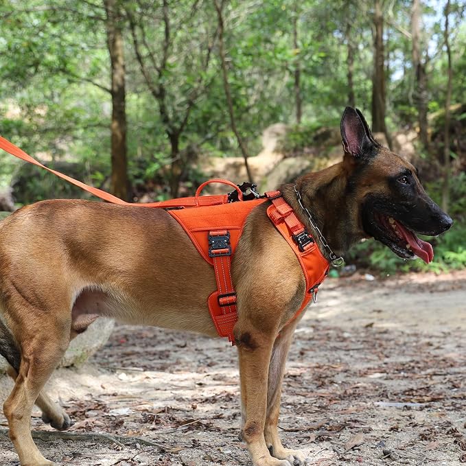 ICEFANG Quick-Moving Tactical Dog Harness for Large Dogs,No Pull Dog Vest | Control Handle,Reflective,Full Metal Buckles,Adjustable,Hook-and-Loop Panel,Soft Padded,Orange,Large