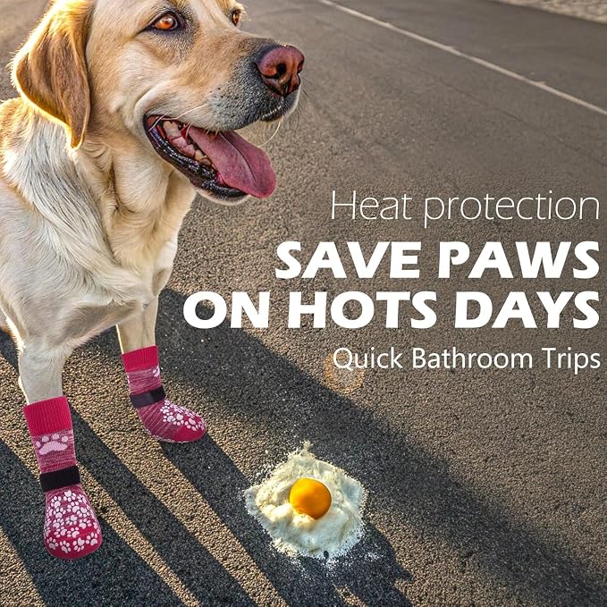 EXPAWLORER Anti Slip Dog Socks to Prevent Licking Paws, Dog Shoes for Hot Pavement, Dog Booties for Small Medium Large Senior Dogs, Traction Control Boots & Paw Protectors for Hardwood Floors Rose