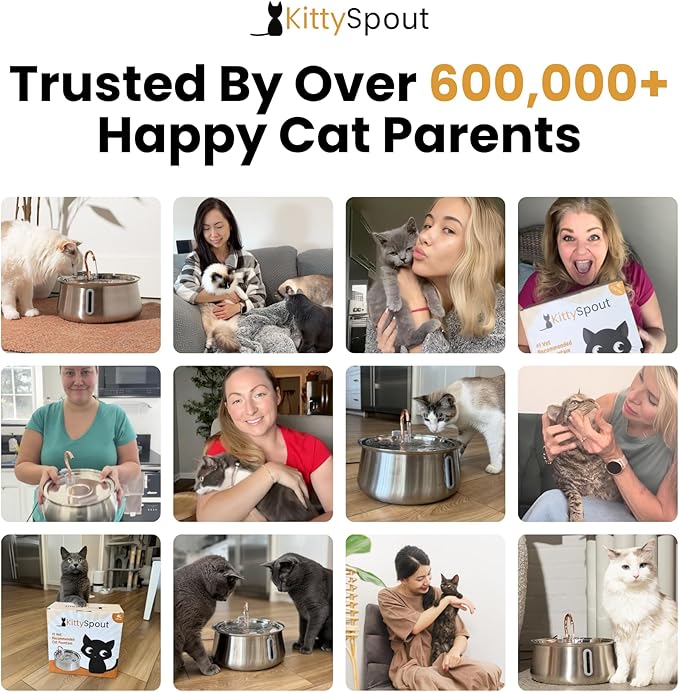Stainless Steel Cat Water Fountain Automatic Drinking Fountain, Quiet Circulating Water Bowl, Dishwasher Safe, Indoor Pet Fountain for Hydrated Healthy Cats (Stainless Steel, 4L Corded)