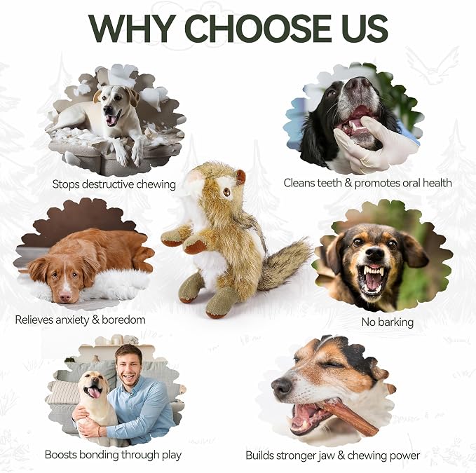 ALL FOR PAWS Chipmunk Squeaky Doy Toy, Squirrel Dog Toy for Small Medium Breed, Puppy Fetch Toy with Squeaker, Plush Chew Dog Toy, Classic-Chipmunk S