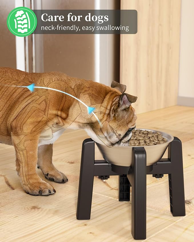 Elevated Dog Bowl, Raised Dog Bowl Stand with Stainless Steel Bowl | Elevated Pet Water & Food Bowl for Medium Dogs, Stable and Anti-Slip Raised Bowl