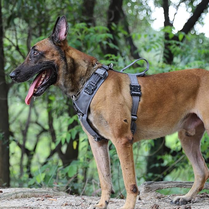ICEFANG Dog Halter Harness with Metal Buckles,Dog Strap Vest X-Large Dogs | Control Handle,Summer-Cooling,Reflective,Front Hook,Adjustable,Soft Padded,No Pull,Grey,XLarge