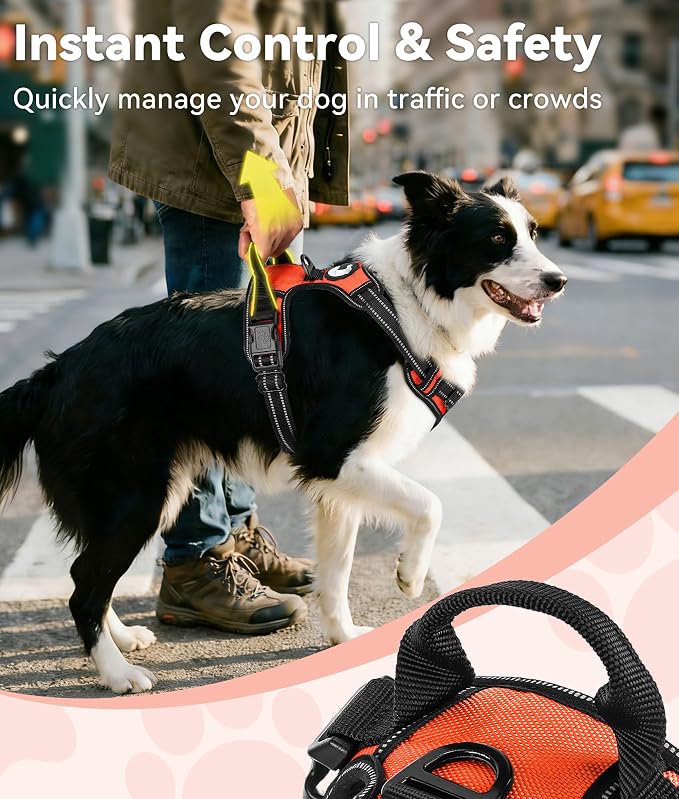 Joytale No Pull Dog Harness for Large Dogs, Front Clip, Orange | Grab Handle for Instant Control, Padded & Adjustable Vest, Sturdy Metal D-Rings, for Safe Training & Daily Walking