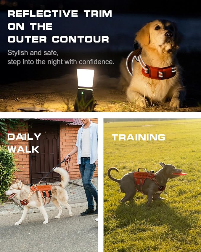 Dog Harness, Tactical No Pull for Small Sized Dog with Handle | Breathable Soft Padded, Adjustable, Reflective, Molle System, Heavy Duty, No Choke for Walking Training, Orange Small