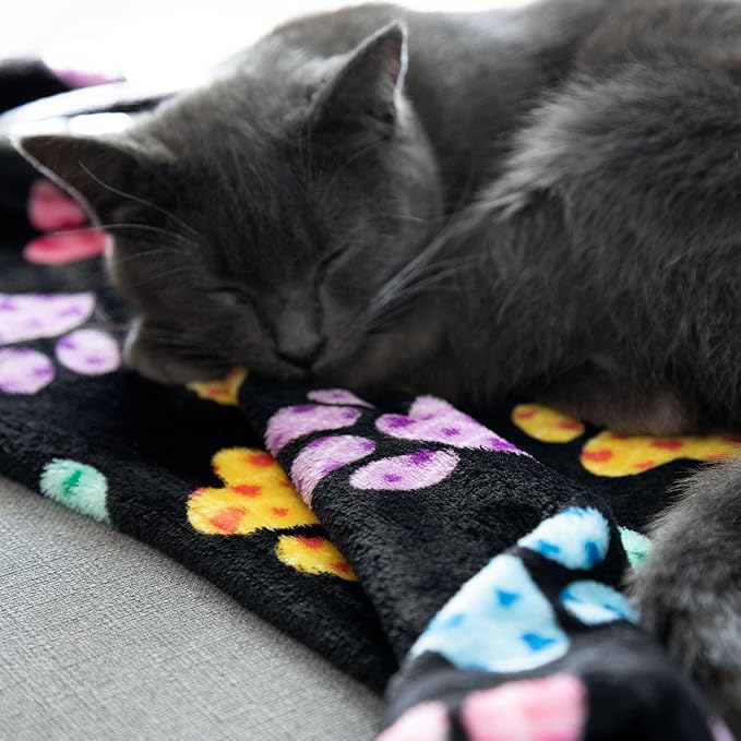 Pet Dog Cat Blanket Ultra Soft Cozy Fleece Paw Print Design Machine Washable Durable for Crates Beds Sofas Travel (Sweetheart Paws, Large)