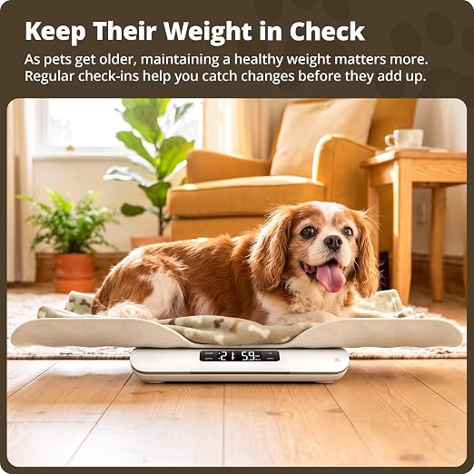 Greater Goods Digital Pet Scale for Cats & Dogs – Wiggle-Proof Technology, 0.1 lb Precision, 44 lb Capacity Scale for Kittens, Puppies & Small to Medium Animals