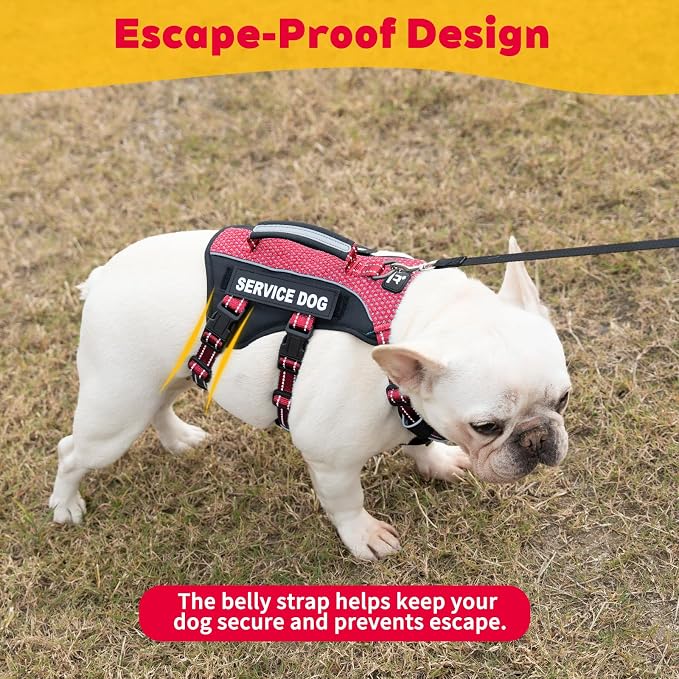 Service Dog Vest Harness, Escape Proof Harness with 6 Patches, No-Pull, Reflective Harness with Handle, Adjustable for Small to Large Dogs, for Training and Hiking (Red, S)