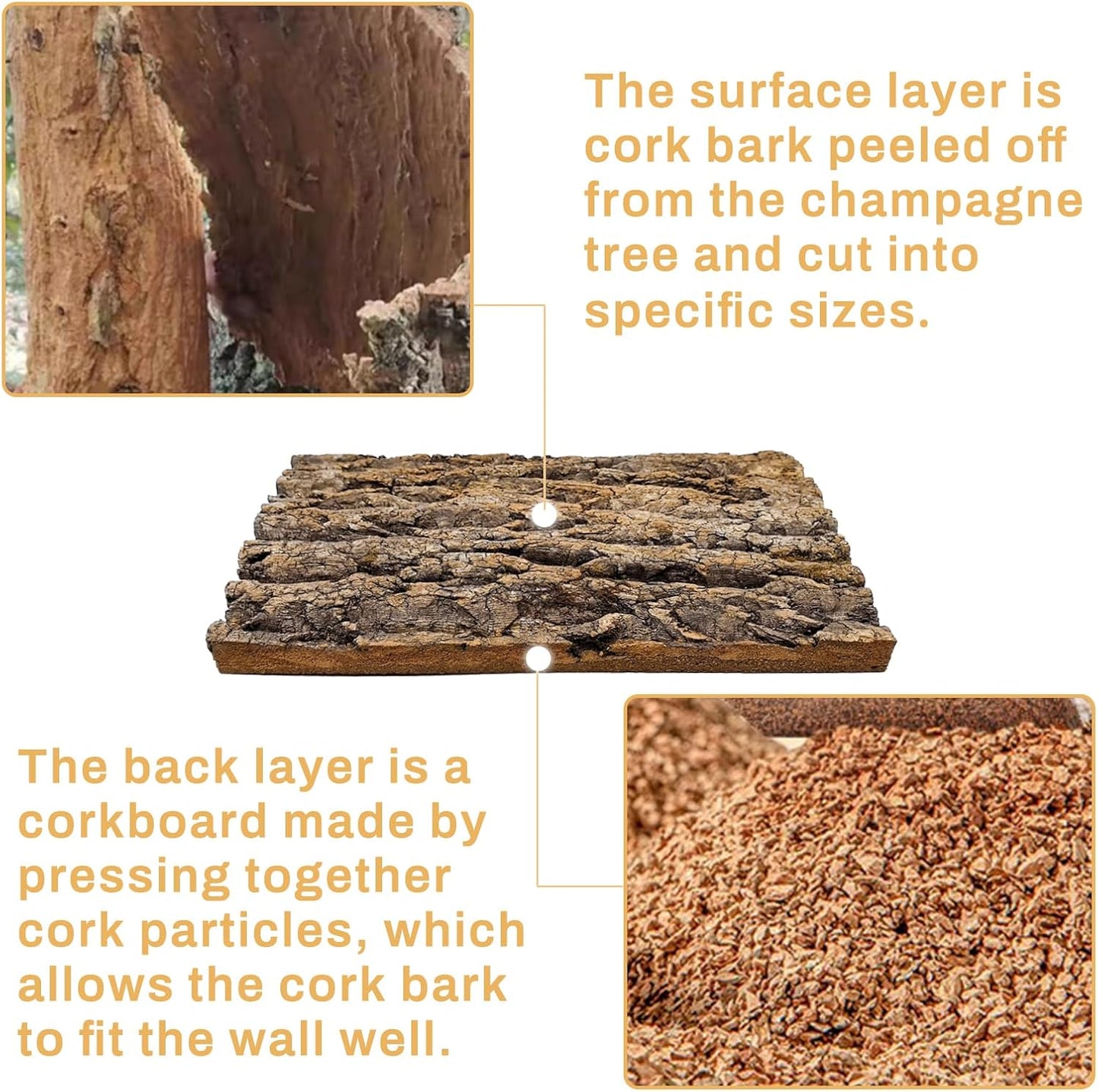 Tfwadmx Terrarium Cork Bark Background, 11.8"x15.75" Thickened Reptile Tank Tree Backdrop Wall Decor Habitat Climbing Mat Decoration for Lizard, Turtle, Gecko, Bearded Dragon, Frog, Chameleon