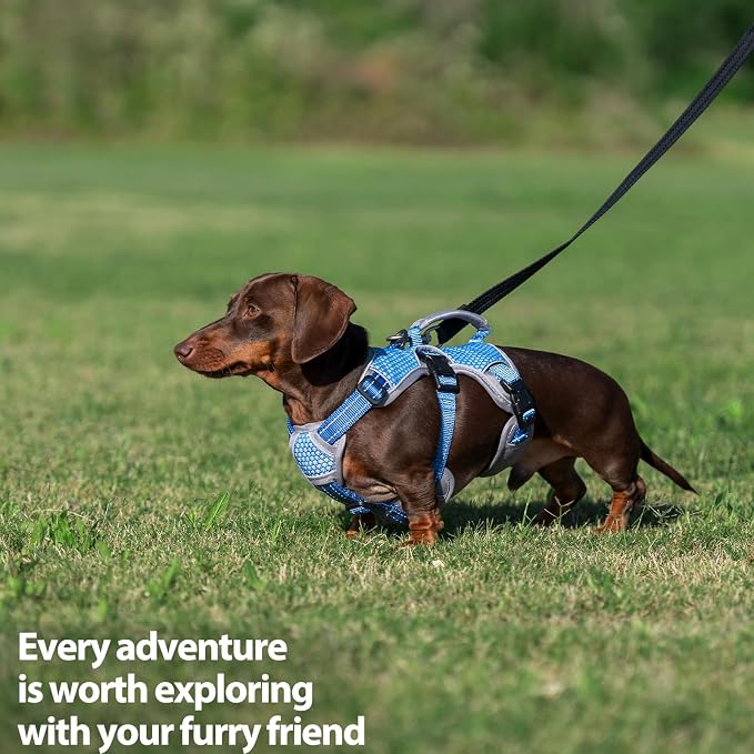 Escape Proof Dog Harness, Dachshund Harness, Reflective Dog Harness with Handle, Durable,Adjustable Vest for Small Medium Large Dogs Walking, Training, and Running Gear (Sea Blue,S)