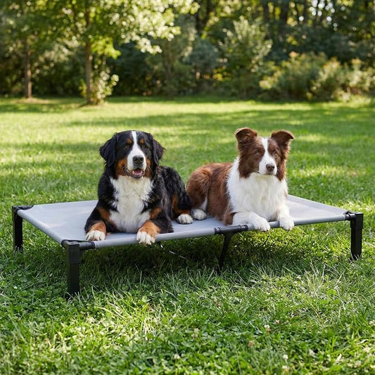 Elevated Dog Bed Raised Cooling Dog Cot for Large Dogs, Portable Indoor & Outdoor Pet Bed with No-Slip Feets Breathable Mesh Pet Bed for Camping Outdoor