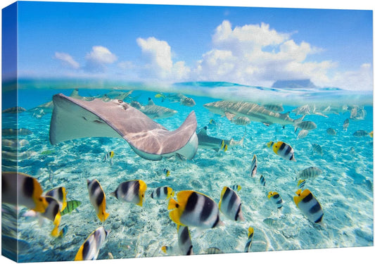wall26 Canvas Print Wall Art Stingray & Striped Fish Under The Sea Nature Ocean Photography Realism Nautical Scenic Relax/Calm Multicolor Ultra for Living Room, Bedroom, Office - 16"x24"