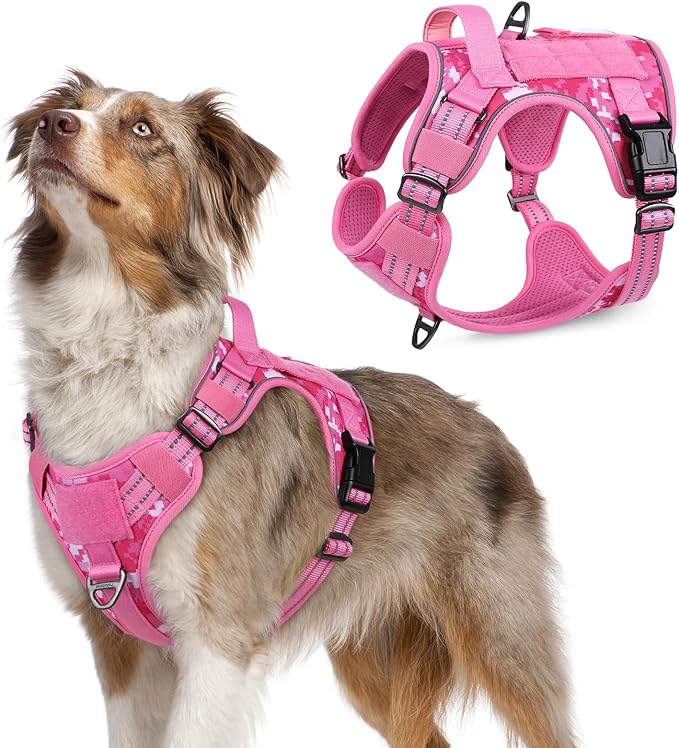 rabbitgoo Tactical Dog Harness for Medium, No Pull Military Service Vest | Molle & Handle, Heavy Duty, Adjustable, Reflective Straps, Easy Control for Training Walking, Pink camo, Medium