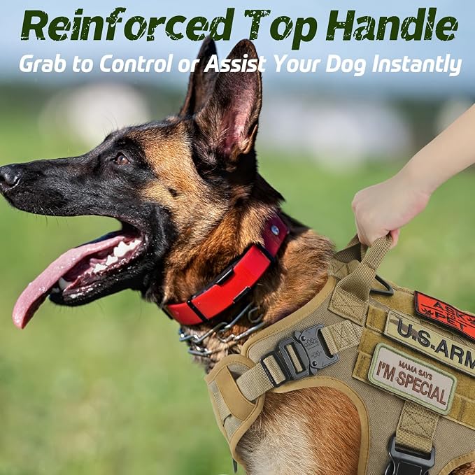 rabbitgoo Tactical Dog Harness for Medium, Heavy Duty Military No Pull Vest | Sturdy Metal Buckles, 5 Adjustments, Molle System, Powerful Pullers for Training, Hunting, Outdoor, Brown, Medium