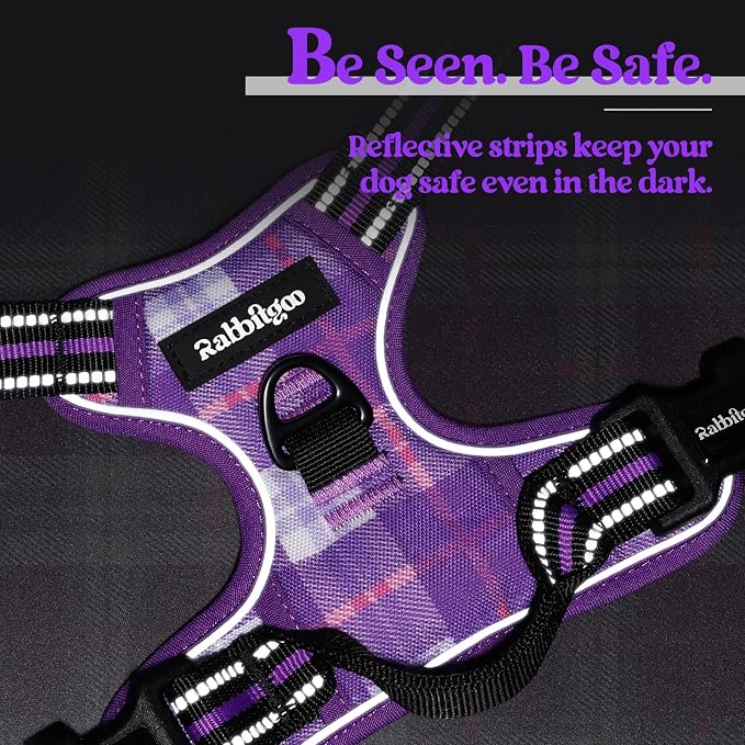 rabbitgoo Dog Harness, No Pull for Large Dogs with 2 Leash Clips, Pet Vest | No Choke with Handle, Adjustable Soft Padded, Reflective, Easy Control for Walking, Purple Plaid, X-Large