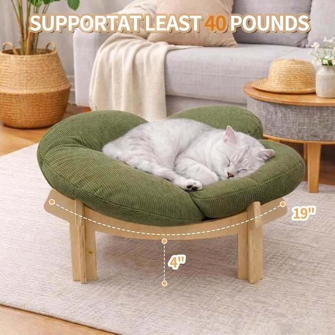 Elevated Wooden Cat Bed with Fluffy Removable Cushion, Modern Petal Shaped Cat Couch Sofa for Indoor Cats Small Dogs 40lbs Capacity Easy to Assemble (Green)