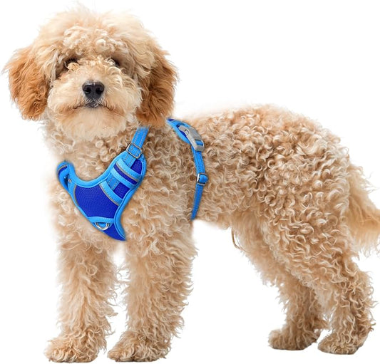 BARKBAY No Pull Dog Harness Large Reflective Dog Harness with Front Clip and Easy Control Handle for Walking Training Running with ID tag Pocket(Sapphire Blue & Blue,XS)