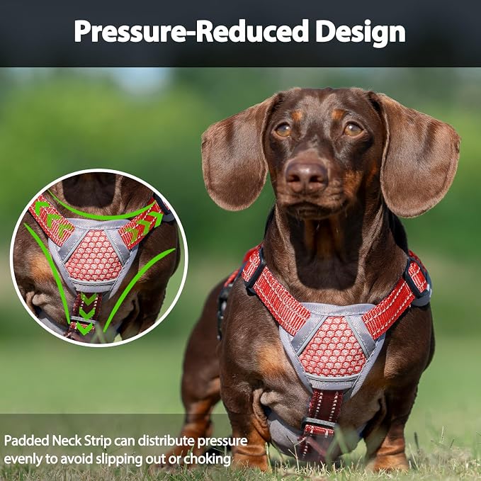 Escape Proof Dog Harness, Dachshund Harness, Reflective Dog Harness with Handle, Durable,Adjustable Vest for Small Medium Large Dogs Walking, Training, and Running Gear (Red,M)