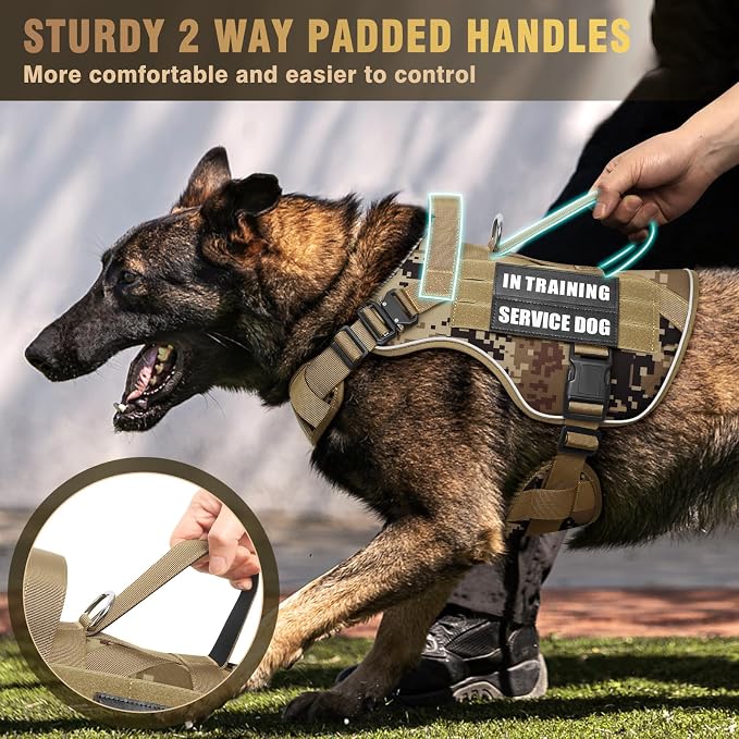 2X Metal Buckle Service Working MOLLE Dog Vest with 10 Pet Patches | Tactical Dog Harness for Large Dog, No-pull Military Working Vest for Training Hunting Walking，2x D Rings for Leash Clip