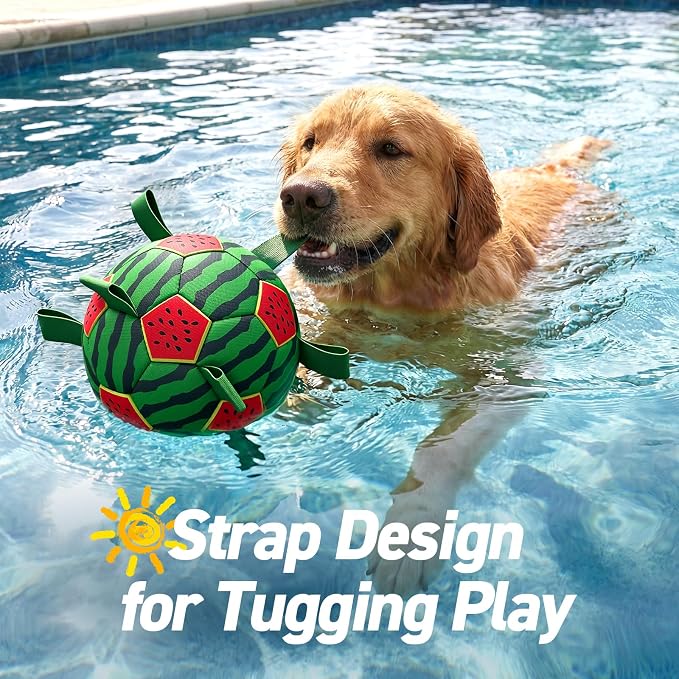 QDAN Dog Water Toys, Pool Toys for Dogs Swimming Beach Fun, Watermelon Ball for Summer Outdoor Games (7 inch)