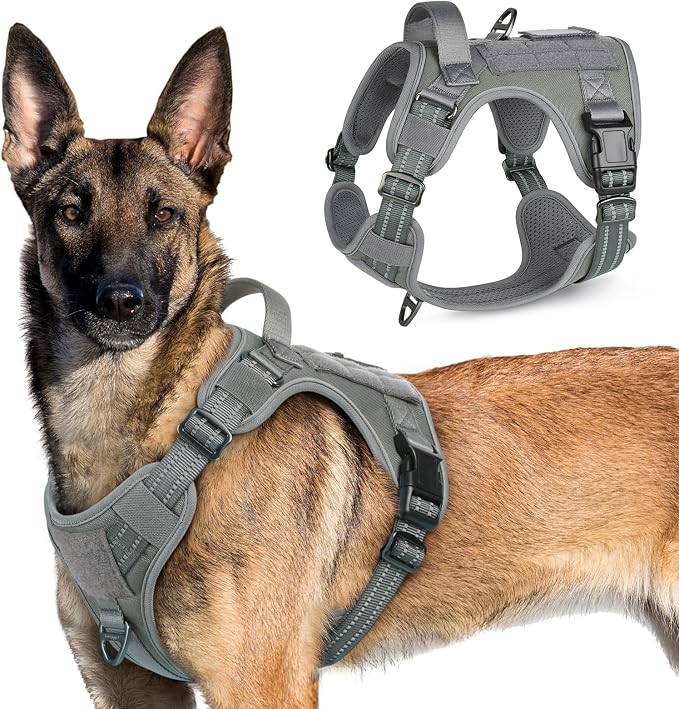 rabbitgoo Tactical Dog Harness for X-Large, No Pull Military Service Vest | Molle & Handle, Heavy Duty, Adjustable, Reflective Straps, Easy Control for Training Walking, Grey, X-Large