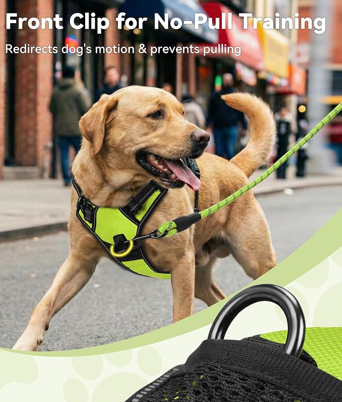Joytale No Pull Dog Harness for Extra Large Dogs, Front Clip, Green | Grab Handle for Instant Control, Padded & Adjustable Vest, Sturdy Metal D-Rings, for Safe Training & Daily Walking