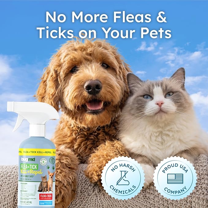 BugMD Flea and Tick Spray for Dogs and Cats – Kills & Repels on Contact – Plant-Powered Flea Treatment for Home, Furniture & Carpet | Makes 32 oz