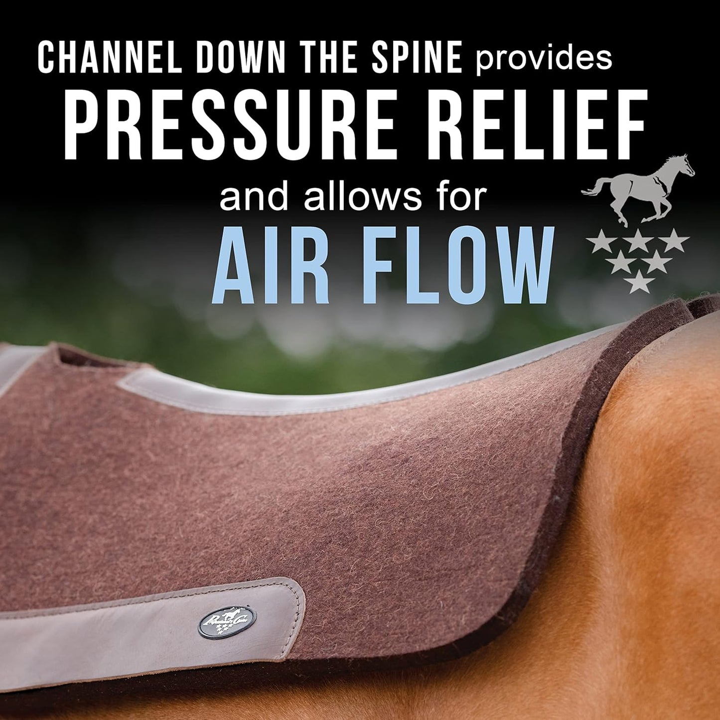 Professional's Choice 100% Steam-Pressed Wool Felt Saddle pad