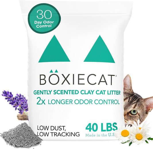 Boxiecat Gently Scented Premium Clumping Clay Cat Litter, 40-Pounds