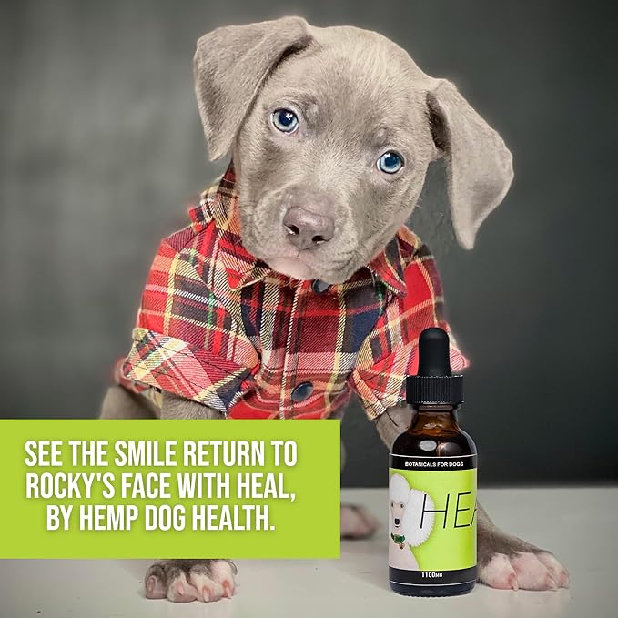 HEAL - Pet Hemp Oil for Dogs - Immune System & Senior Dog Support - Neurological & Adrenal Balance - Daily Wellness Drops
