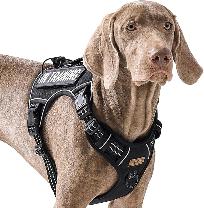 AUNZO Tactical Dog Harness for Large Dogs, for Golden Retriever, Labrador, German Shepherd etc, No Pull Reflective No Choke Adjustable and Padded Pet Vest Harness, Black, L