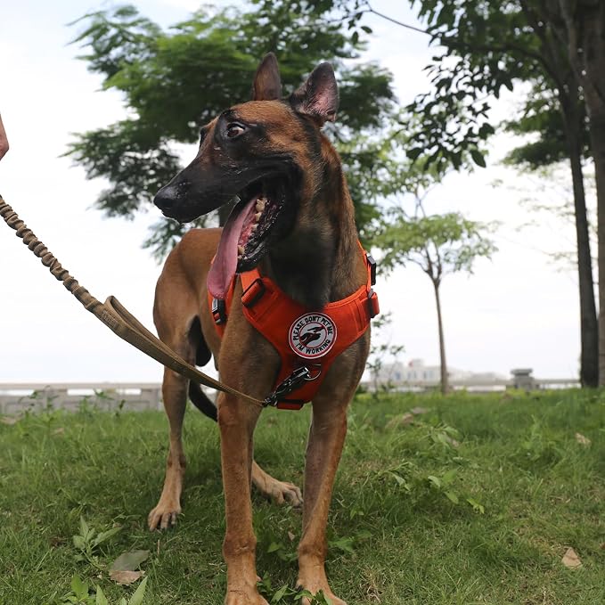 ICEFANG Tactical Dog Harness for Large Dogs,Reflective No Pull Dog Vest | with Control Handle,Adjustable,Front Hook,2 Leash Clips,Soft Padded,MOLLE Panel,Orange,Large