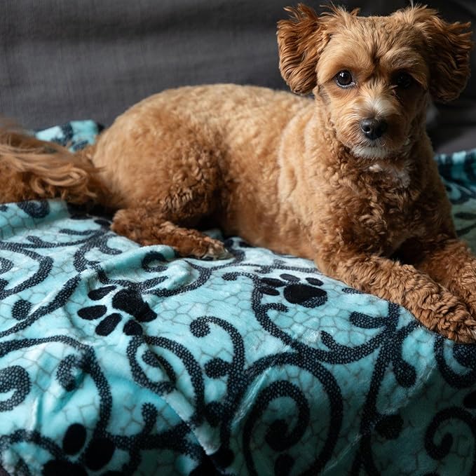 Pet Dog Cat Blanket Ultra Soft Cozy Fleece Paw Print Design Machine Washable Durable for Crates Beds Sofas Travel (Loving Paws, Medium)