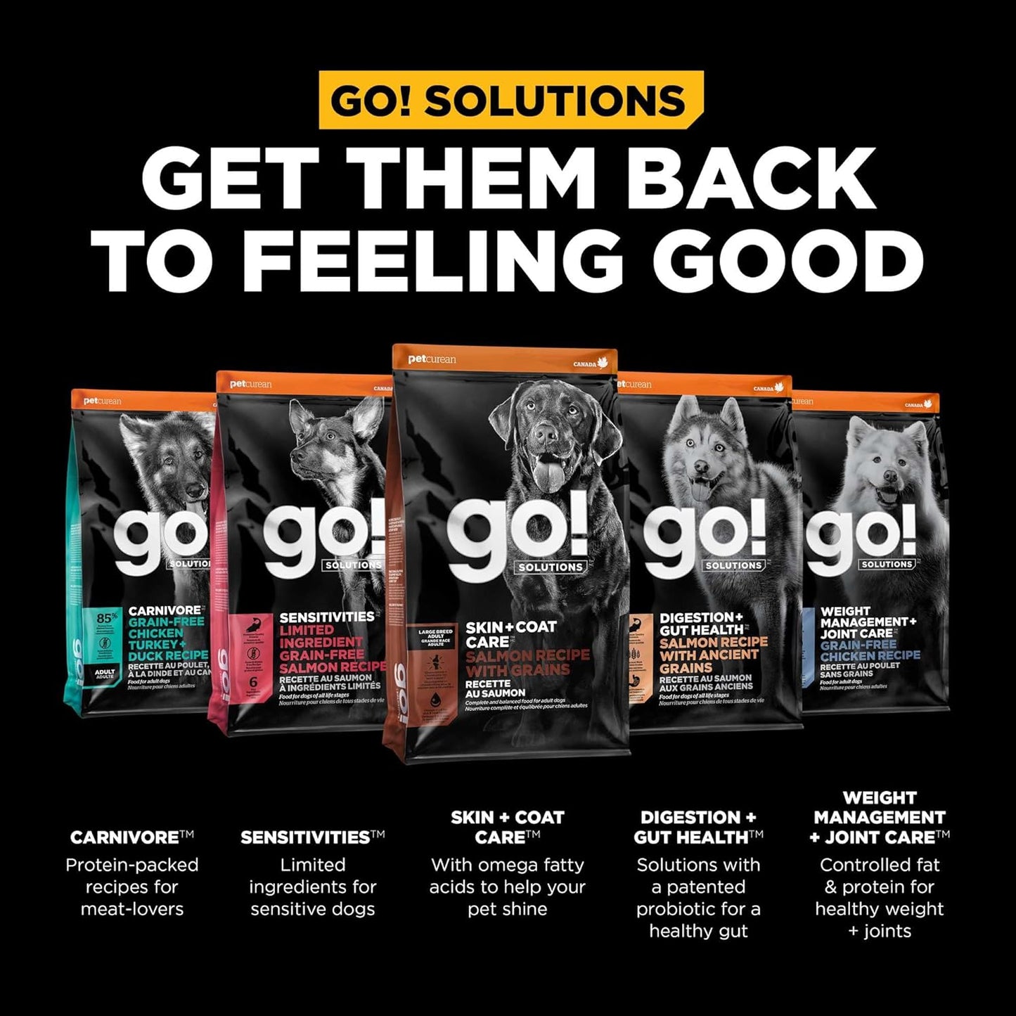 Go! Solutions Skin + Coat Care, Dry Dog Food, Large Breed Adult Salmon Recipe with Grains, 25 lb Bag