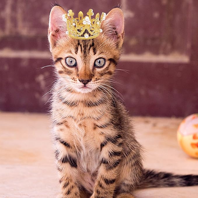 PET SHOW 2pcs Small Dog Crown Headband Puppies Rabbit Cat Hat for Birthday Party Silver Gold Rhinestone Faux Pearl Crown for Pet Holiday Wedding Hair Accessories Photo Prop Costume