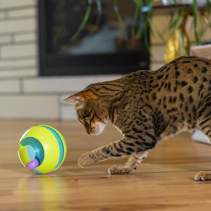 Catstages Twist-A-Ball 3-in-1 Convertible Cat Track Toy, Rolling Ball Toy for Indoor Cats, Green