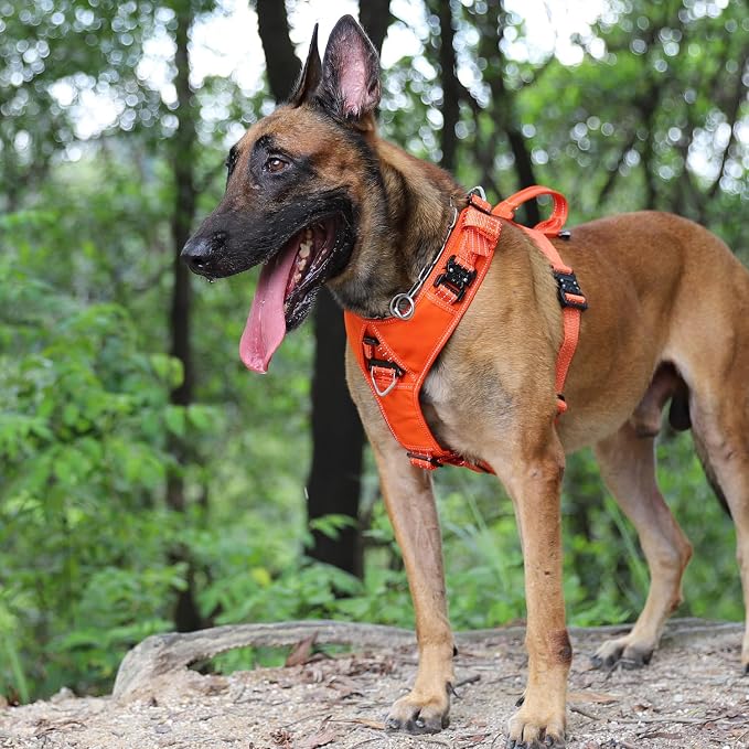 ICEFANG Dog Halter Harness with Metal Buckles,Dog Strap Vest for Large Dogs | Control Handle,Summer-Cooling,Reflective,Front Hook,Adjustable,Soft Padded,No Pull,Orange,Large