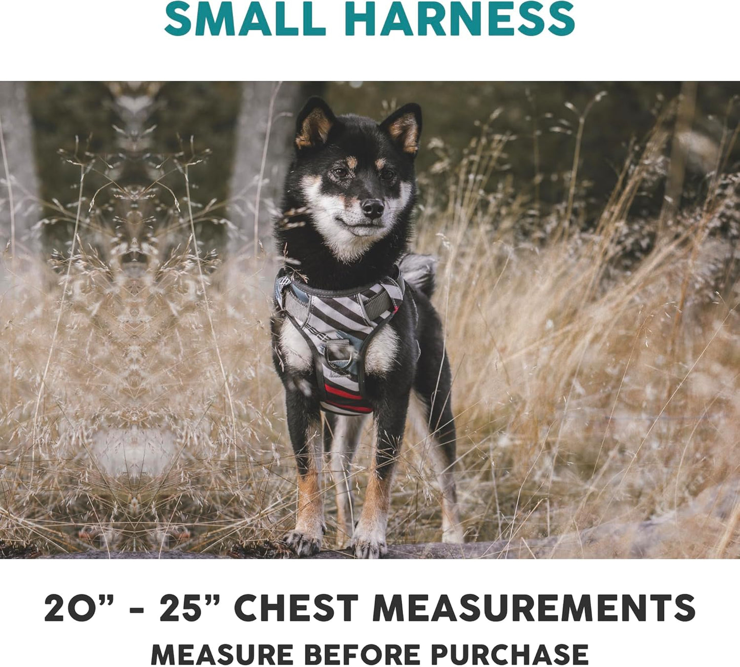 Embark Adventure Dog Harness, Reflective Trim No Pull Dog Harnesses for Small Sized Dogs - Military Grade Nylon, Front Clip with Gel Lined Handle.