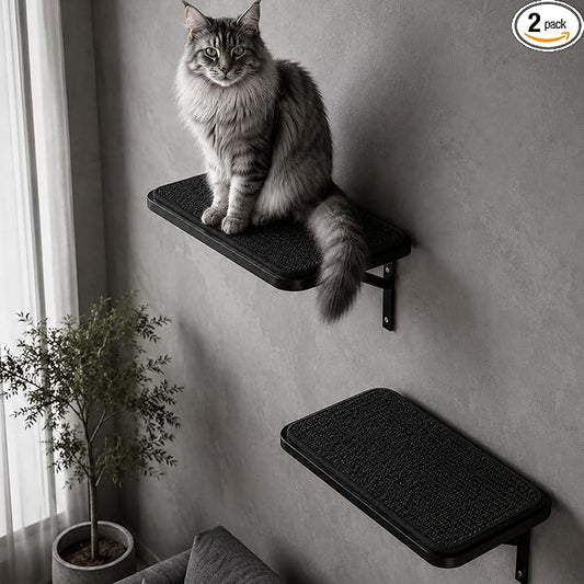 Cat Wall Shelves Set of 2, Black Solid Wood Window Perches with Sisal Mats | Removable Black Sisal Mats, Wall-Mounted Cat Furniture for Climbing, Scratching and Lounging, 16.6 x 9.7 Inch