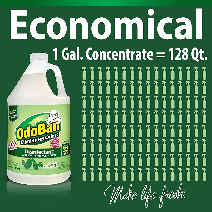OdoBan Disinfectant Concentrate and Odor Eliminator, Made in the USA, Original Eucalyptus Scent, 2 Gallons