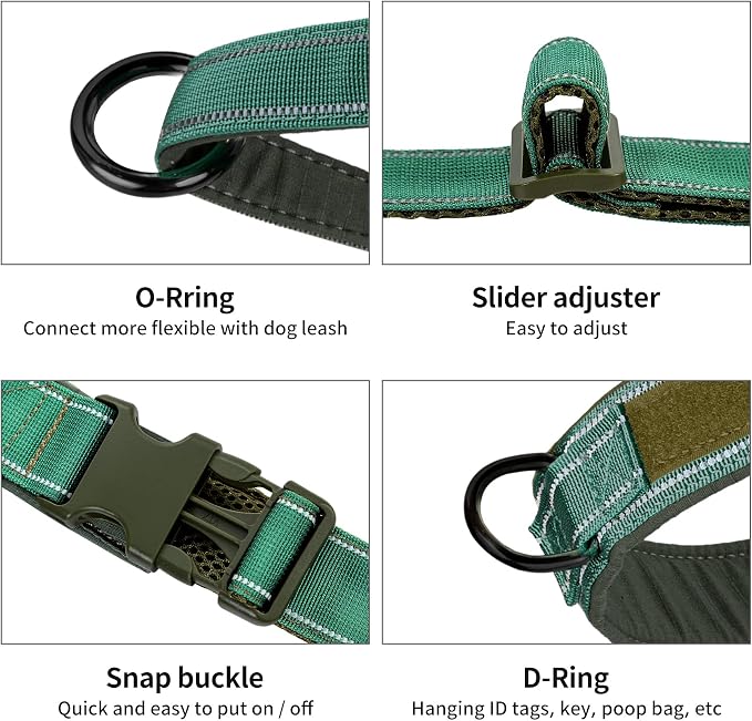 Annchwool No Pull Dog Harness with Padded Handle+5 Ft Leash,Reflective Strip Escape Proof and Quick Fit to Adjust Dog Harness,Easy for Training Walking for Small & Medium and Large Dogs(Green-Set,M)