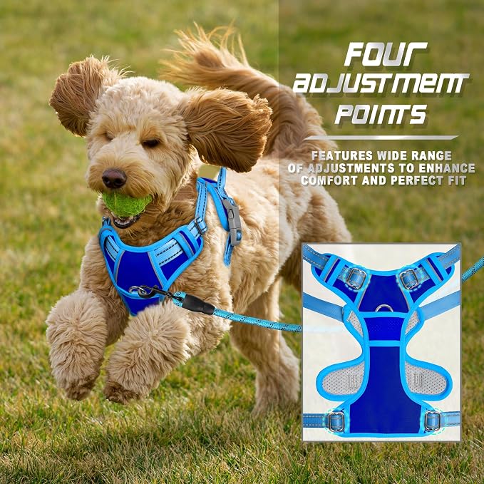 BARKBAY Dog Harness No Pull for Small Sized Dog Front Back Clips,Dog Vest | Soft Padded No Choke With Handle,Easy On&Off,Adjustable Reflective For Walking Training Running(Sapphire Blue & BlueXS)