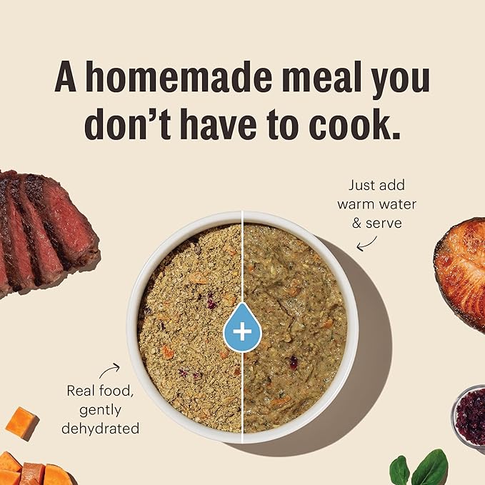 The Honest Kitchen Human Grade Wholemade™ Dehydrated Whole Grain Chicken Dog Food, 1.5 oz x10