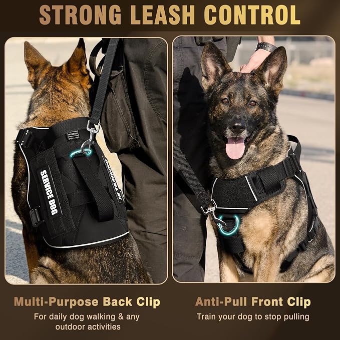 2X Metal Buckle Service Working MOLLE Dog Vest with 10 Pet Patches | Tactical Dog Harness for Large Dog, No-pull Military Working Vest for Training Hunting Walking，2x D Rings for Leash Clip