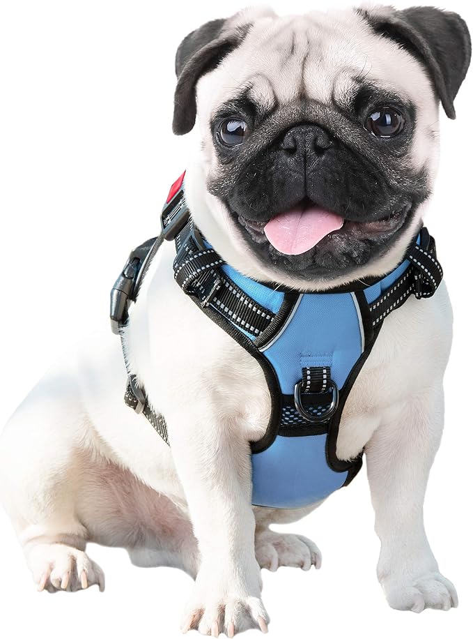 No Pull Dog Harness 3M Reflective Adjustable Vest with a Training Handle, Name ID Pocket, 2 Metal Leash Hooks, 3 Snap Buckles [Easy to Put on & Take Off](L, Baby Blue) | Name ID Pocket, 2 Metal Leash Hooks, 3 Snap Buckles [Easy to Put on & Take Off](L,...