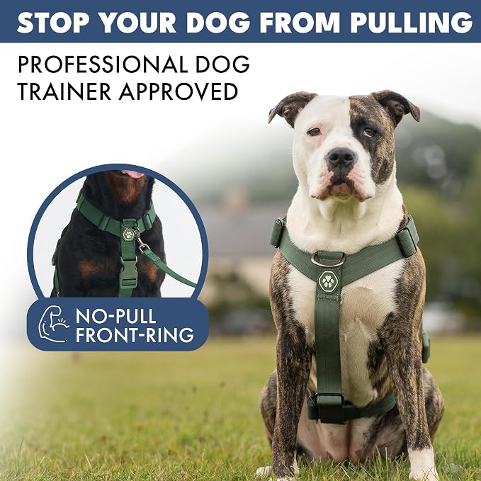 Spark Paws Comfort Control No Pull Dog Harness - Heavy Duty Front Clip | Safety Tested for Strong Breeds, w/ Metal Buckle & Top Handle – Padded Y-Straps Redirect Pulling. Solo or Matching Leash Set