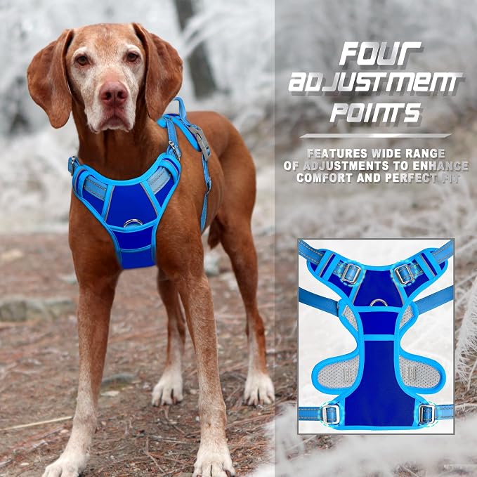 BARKBAY Dog Harness No Pull for Medium Sized Dog Front Back Clips,Dog Vest | Soft Padded No Choke With Handle,Easy On&Off,Adjustable Reflective For Walking Training Running(Sapphire Blue & Blue,M)